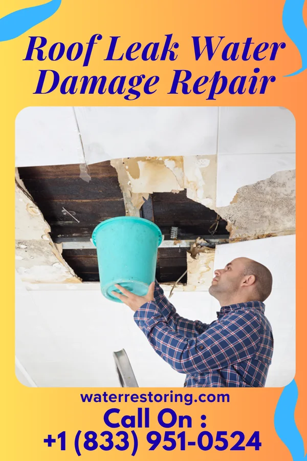 Roof Leak Water Damage Repair in Long Neck, DE