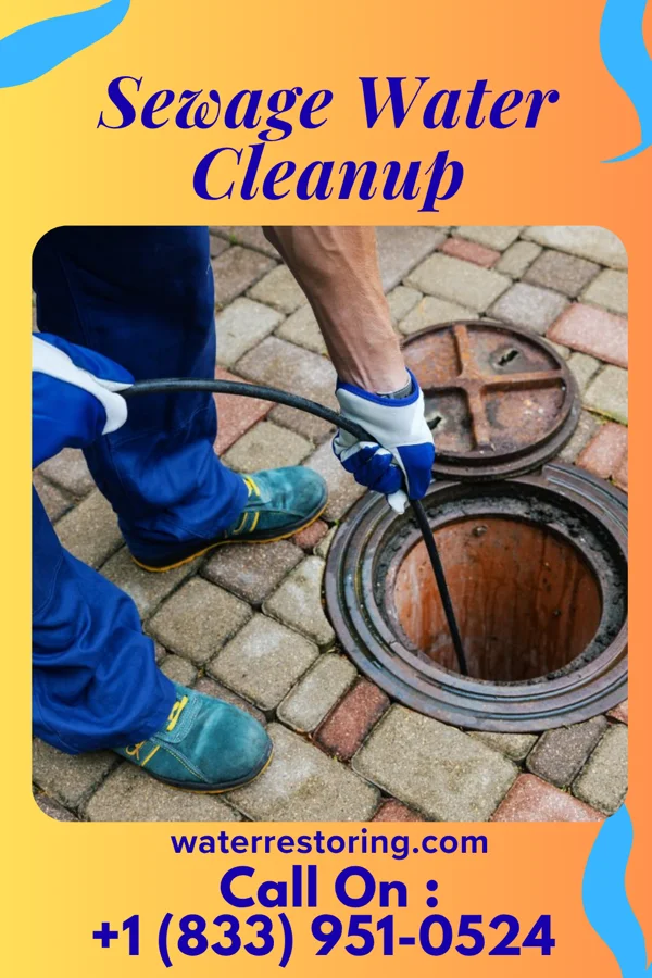 Sewage Water Cleanup in Long Neck, DE